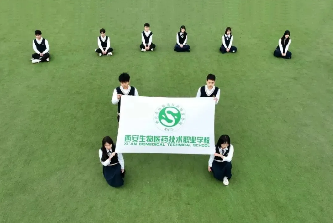 66.png